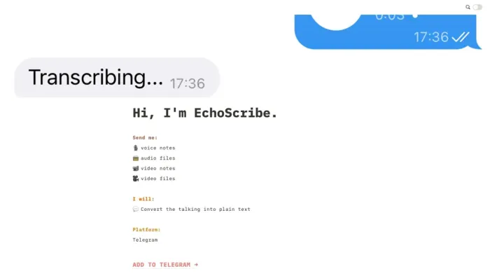 EchoScribe