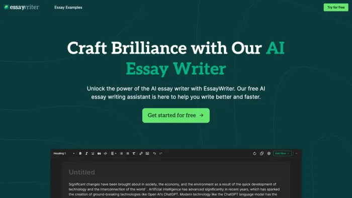 EssayWriter io