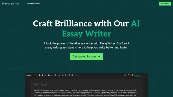 EssayWriter io
