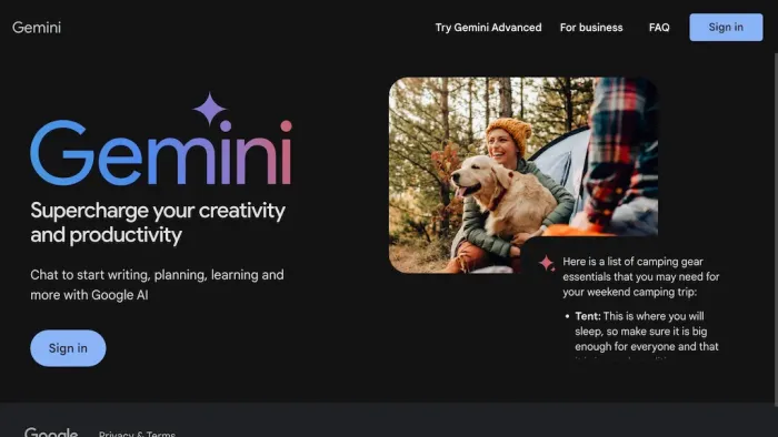 Google Gemini