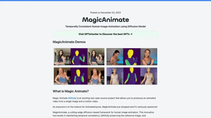 MagicAnimate Playground