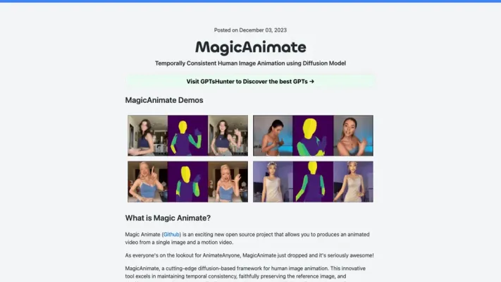 MagicAnimate Playground