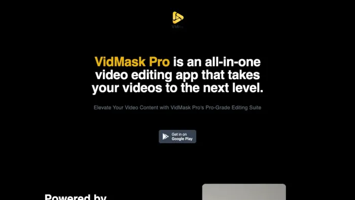 VidMaskPro